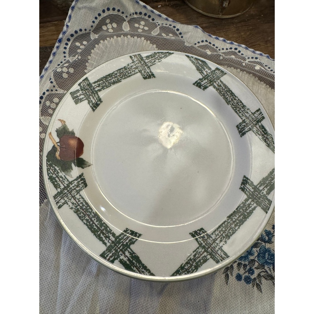 Cades Cove Quality Stoneware Dinner Plates Set of 4 Apple Fence Farmhouse Green